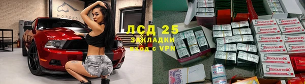 крисы Бородино