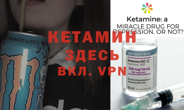 крисы Бородино