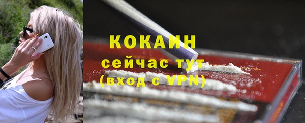 крисы Бородино