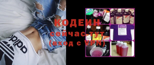 крисы Бородино
