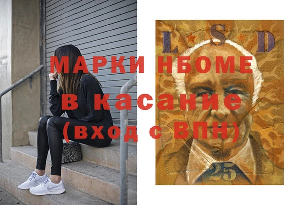 крисы Бородино