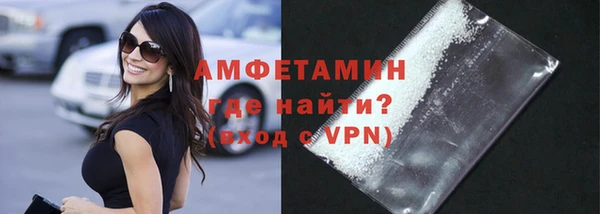 крисы Бородино