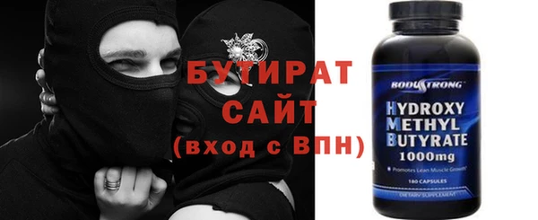 крисы Бородино