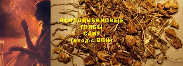 крисы Бородино