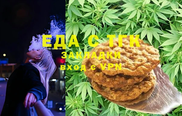 крисы Бородино