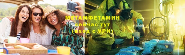 крисы Бородино