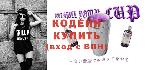 крисы Бородино