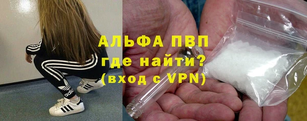 крисы Бородино